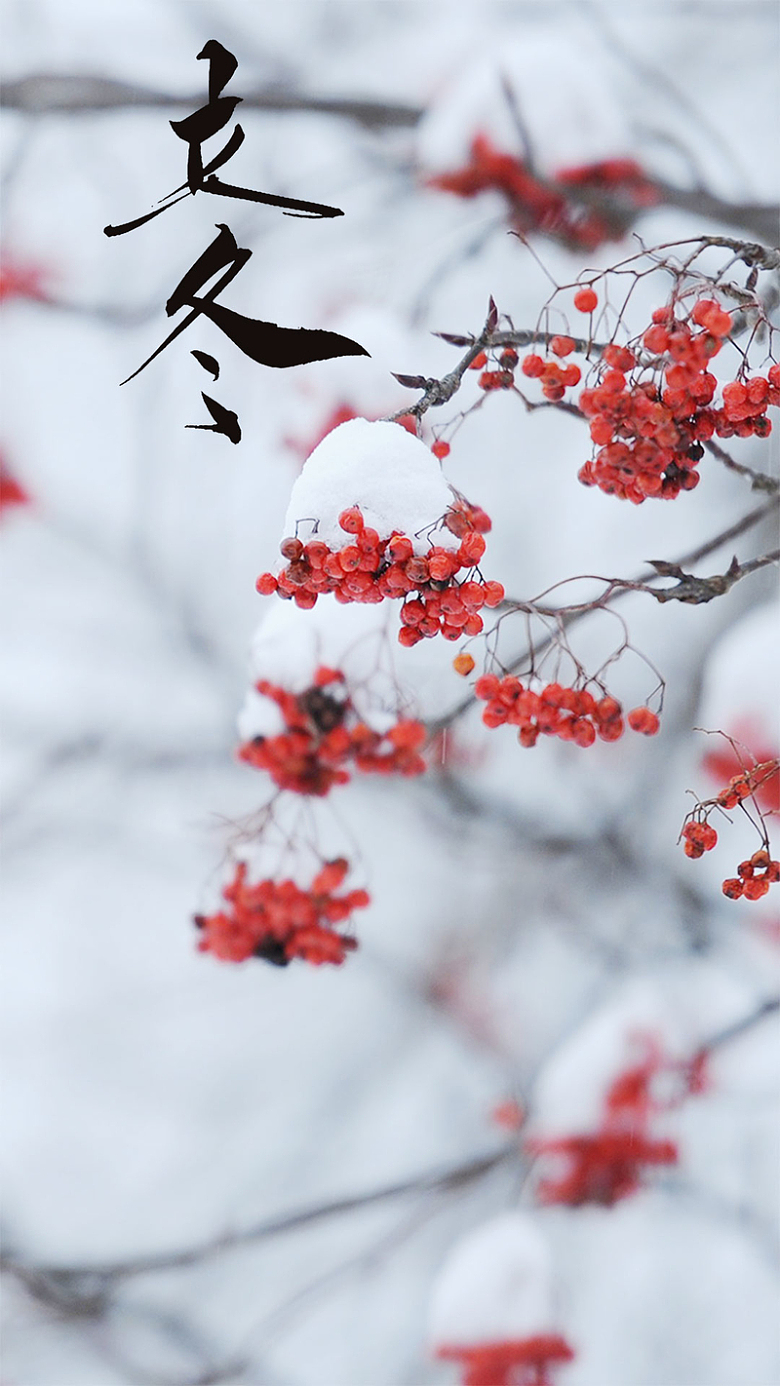 立冬二十四节气中国传统节气霜下雪