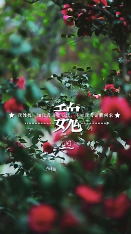 红玫瑰文艺H5背景