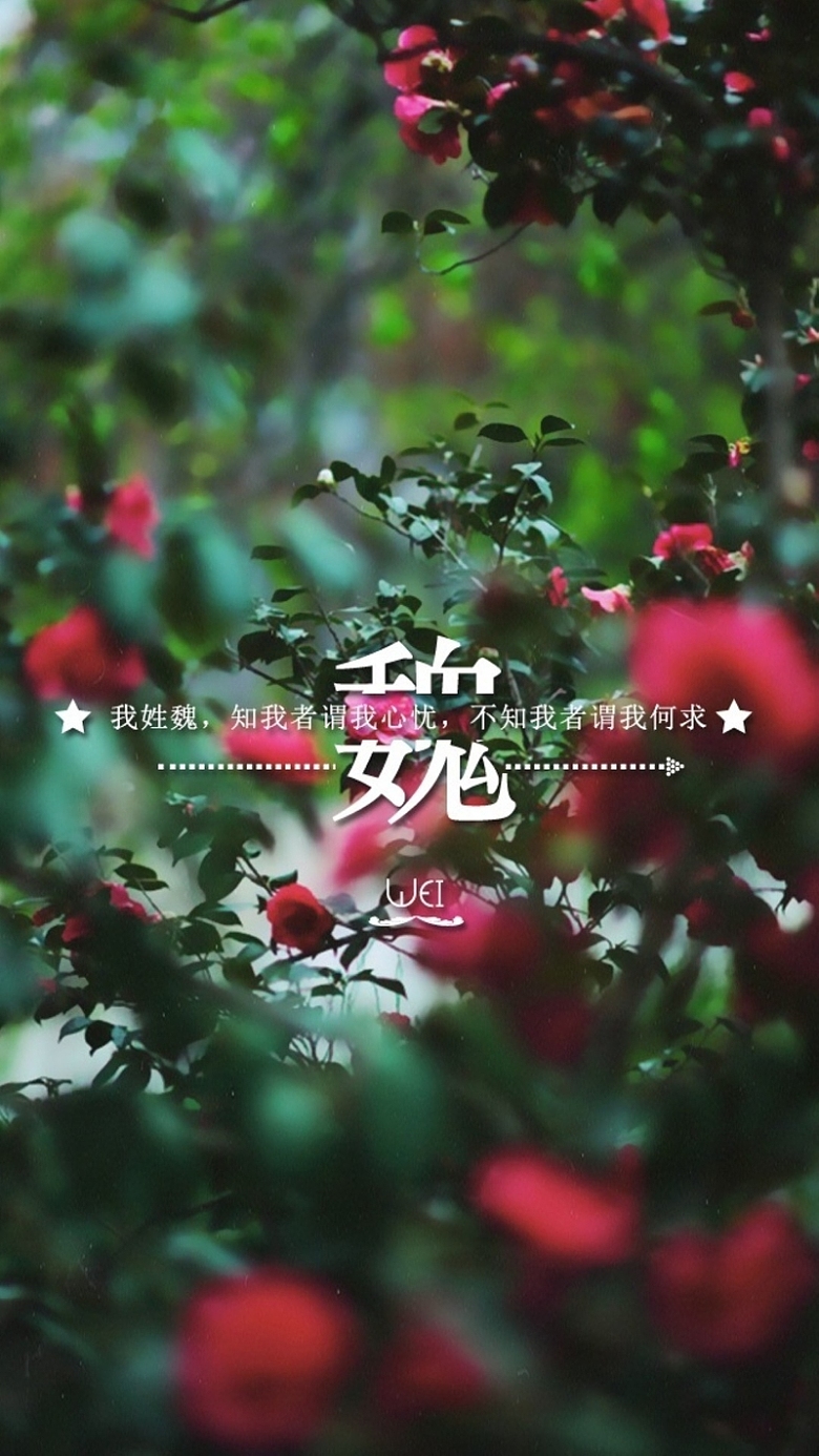 红玫瑰文艺H5背景