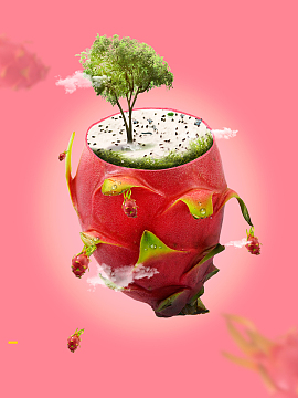 火龙果水果广告