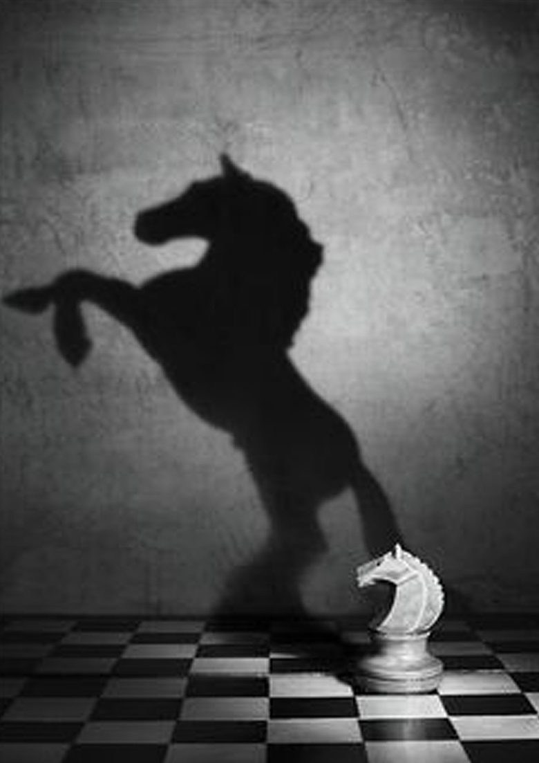 象棋白马的影子背景