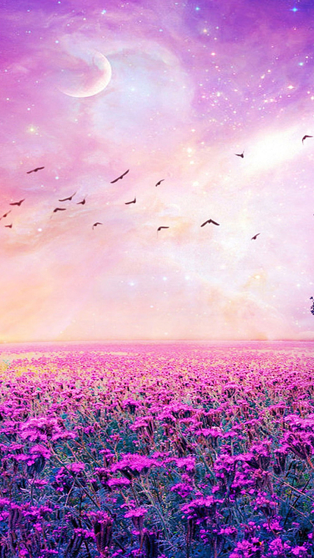 紫色梦幻花海手机端h5背景