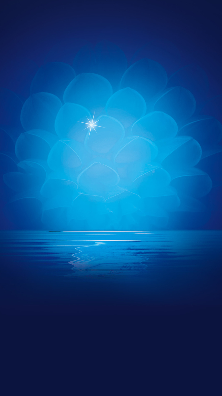 蓝色花瓣大气海上h5背景