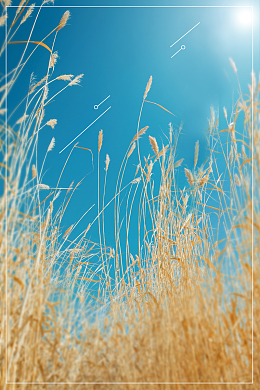 遇见秋秋季秋天促销海报背景素材