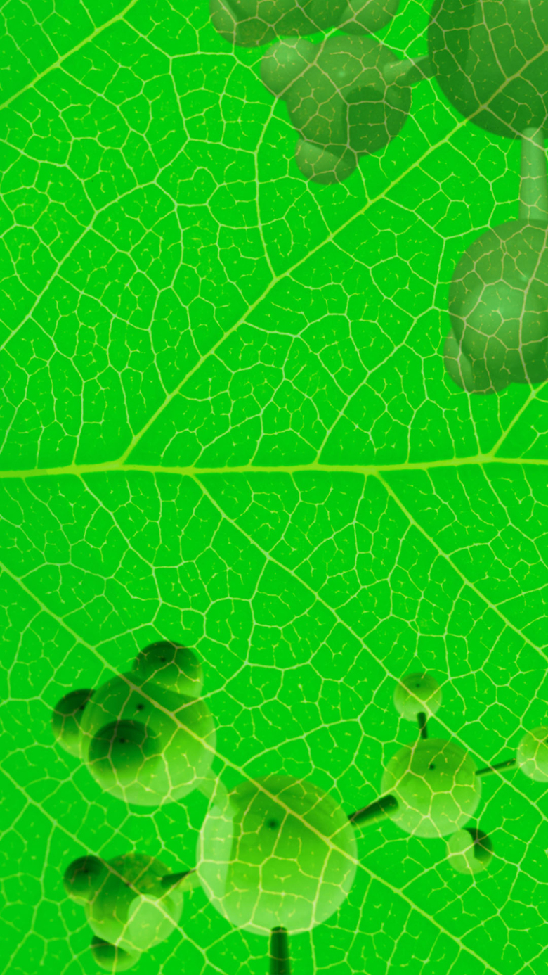 小清新,果汁,树叶,水果,绿色,h5,h5,文艺,简约[声明] 觅元素所有素 