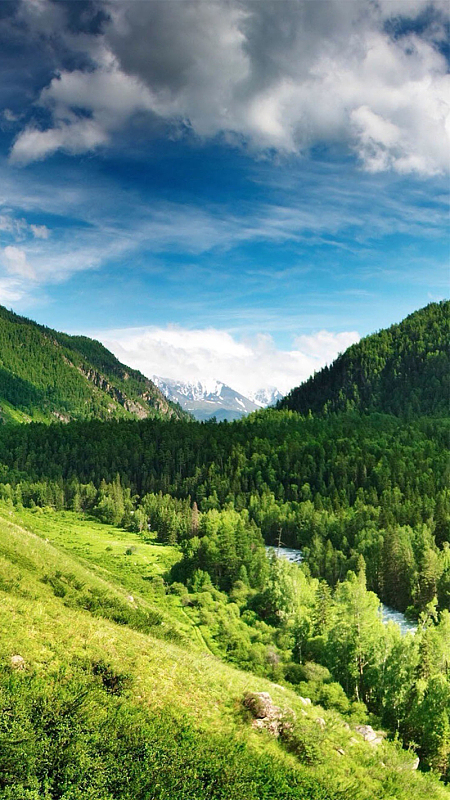 大山下面的森林h5素材