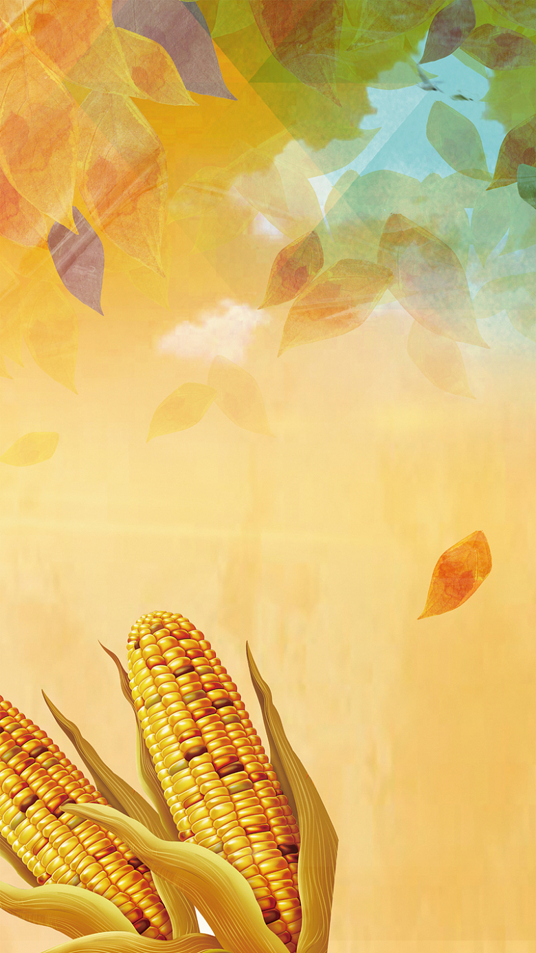 彩色夏季丰收玉米H5背景素材