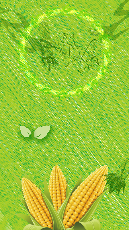 绿色有机玉米丰收h5背景素材