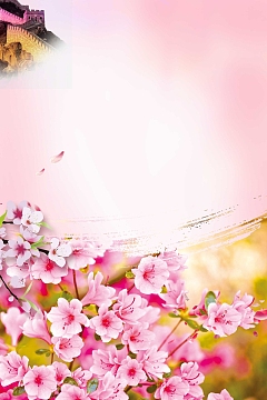 唯美春天醉美樱花节春季旅游