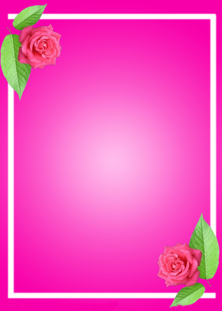粉色玫瑰花边框背景