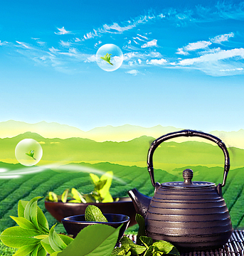 梦幻茶园茶叶绿色背景素材