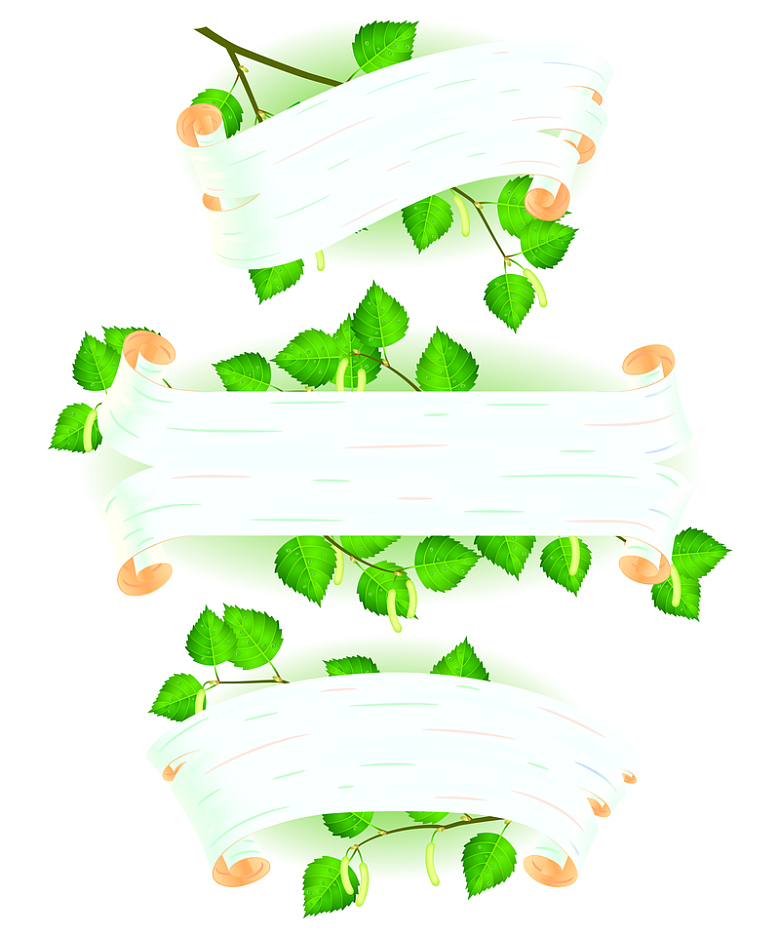 3款白桦树风格绿叶子标题背景矢量图