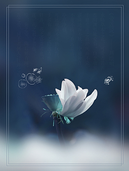 唯美莲花夏季促销海报背景