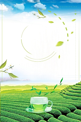 清新简约中国茶韵背景素材
