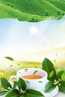 清新新茶上市海报