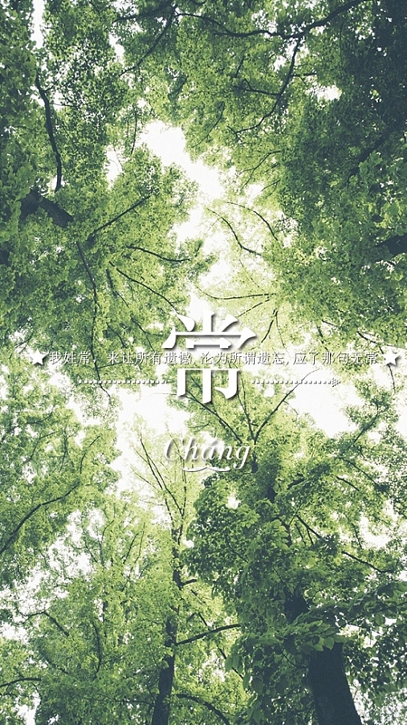阳光森林百家姓H5背景
