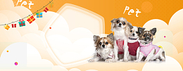 可爱风格日常需求宠物用品全屏海报
