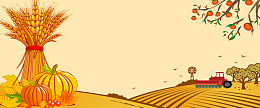 金黄色麦田秋收丰收banner
