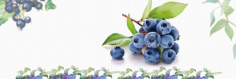 清新文艺水果生鲜食品蓝莓淘宝banner
