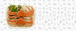 螃蟹手绘白色banner
