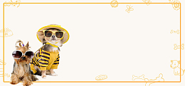 萌宠来了可爱宠物黄色卡通banner