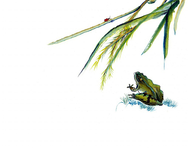 青蛙捕食水墨画背景