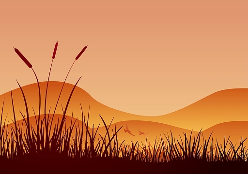 矢量手绘芦苇荡风光背景