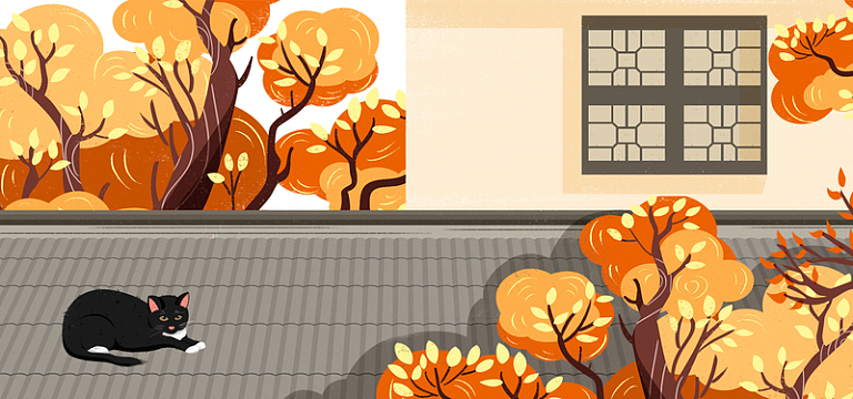 唯美节气秋分屋顶猫手绘banner