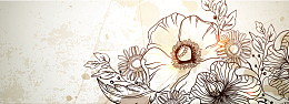 手绘花朵banner