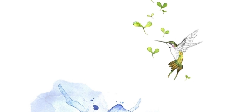 小清新手绘蜂鸟banner背景