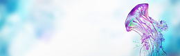 蓝色清新水彩手绘平面banner