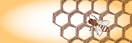 淘宝黄色手绘蜂蜜banner