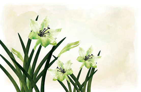 绿色兰花背景海报素材