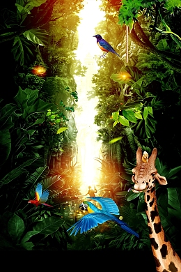 奇幻森林探险设计背景