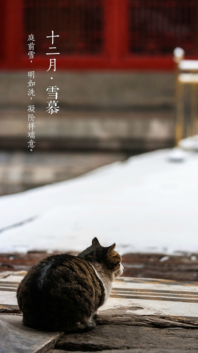 文字雪景猫咪H5背景