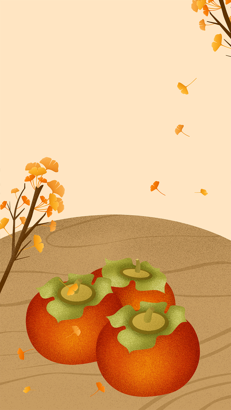 金秋十月黄色柿子成熟