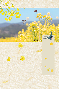 小清新春天你好油菜花风景插画