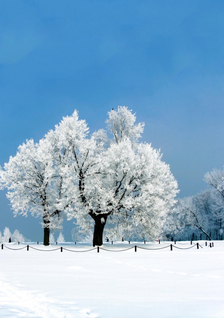 冬至季节风景美图免抠素材免费下载_觅元素51yuansu.com