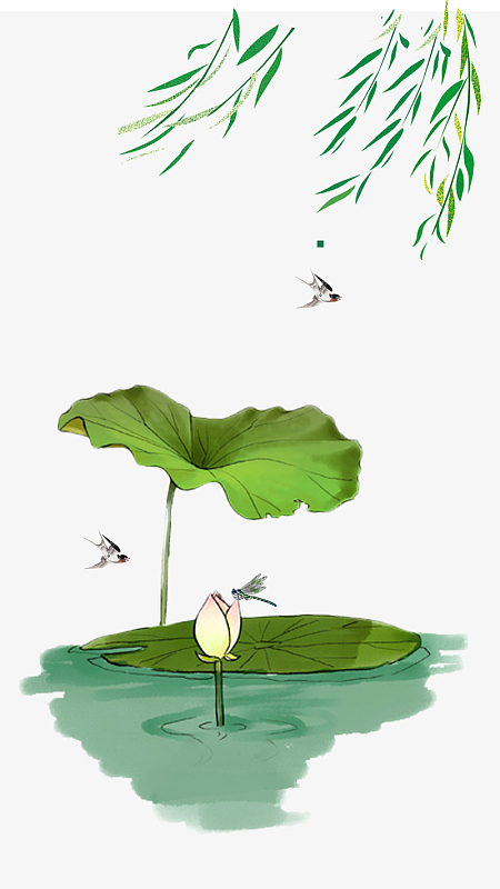 手绘荷花h5背景
