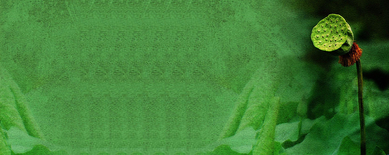 绿色莲藕背景