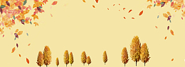 唯美落叶背景banner