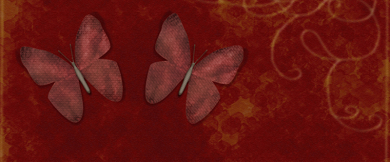 红色 蝴蝶 纹理 地毯