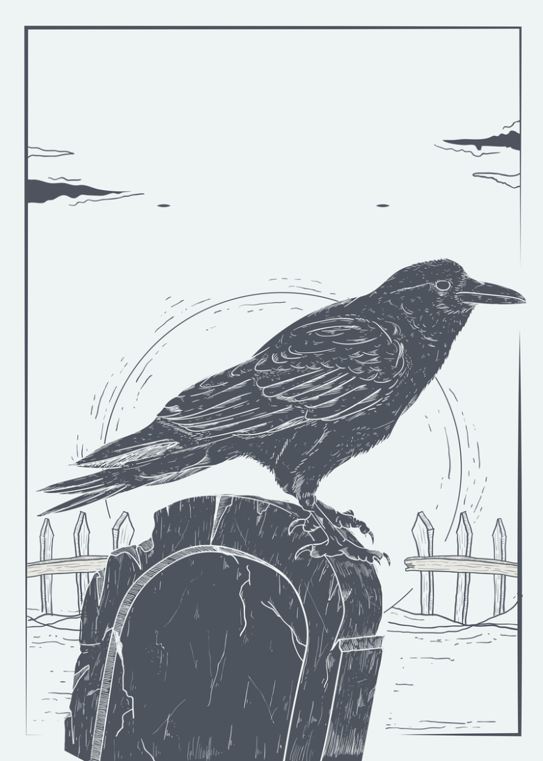 版画风格鸟类海报背景素材免抠素材免费下载 觅元素51yuansu Com