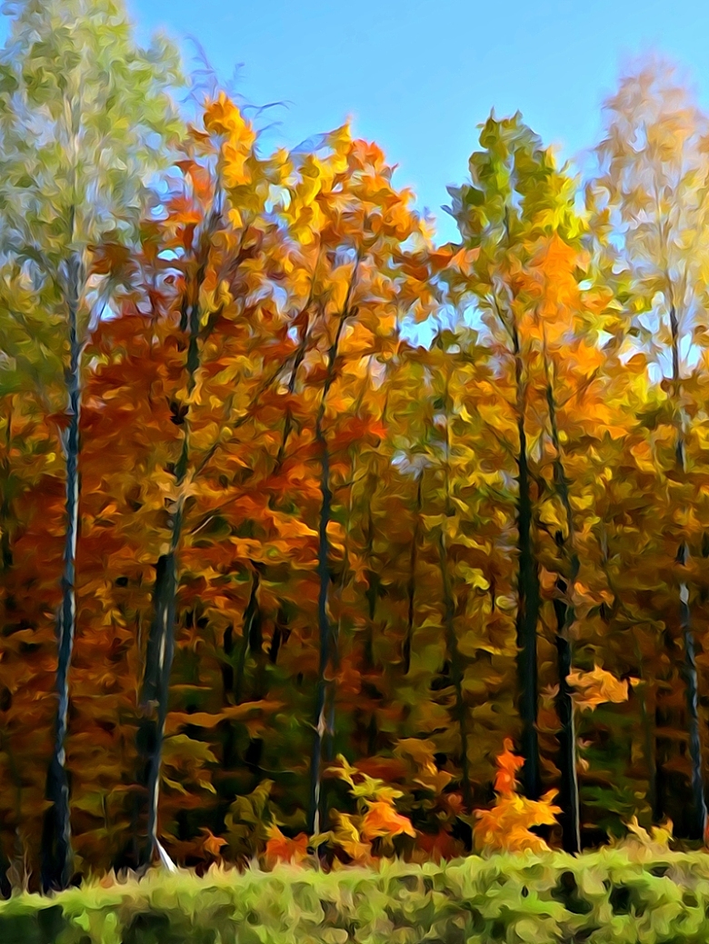 马赛克的秋天森林背景图