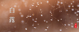 小清新白露二十四节气露珠banner