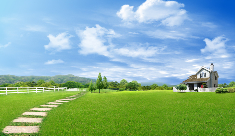 小清新绿色草原海报背景素材