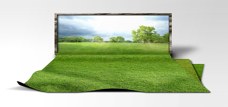 草地草皮与画框