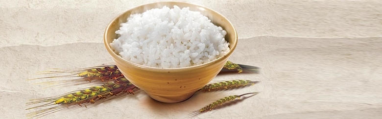 白米饭背景