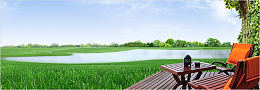 木质地板banner