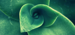 淘宝banner